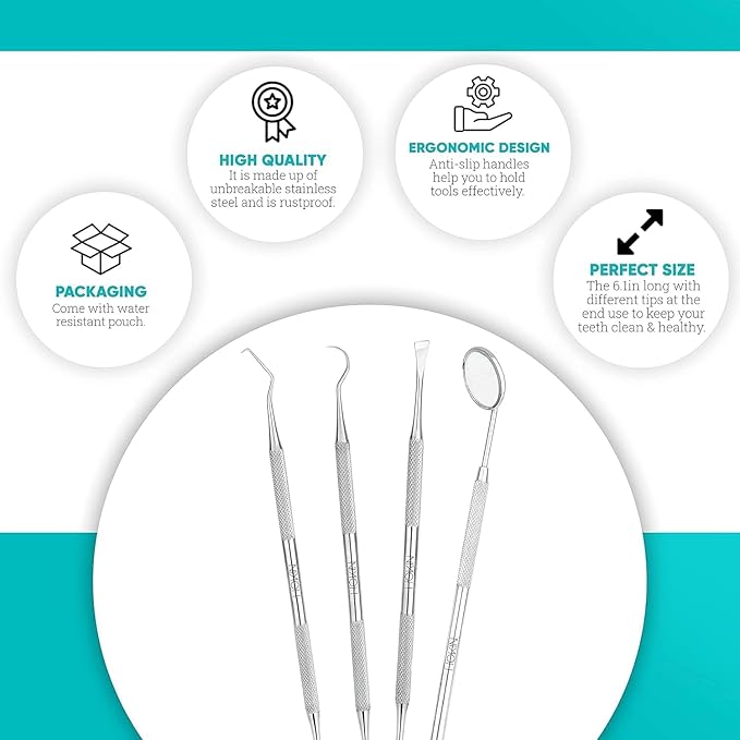 HOKIN Dental Tools Plaque Remover Teeth Cleaning Tool 4 Pcs Dental Care Kit Tooth Filling Repair Set Stainless Steel Dental Tools for Men Women Kids and Pet Care (Blush Pink)