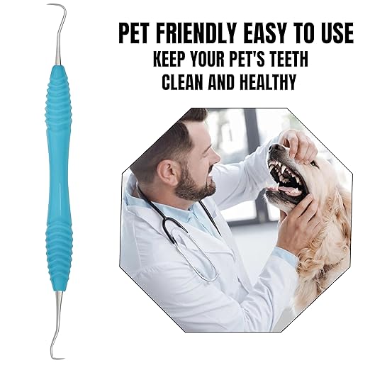 Professional Dental Tools Tartar Scraper for Dentist, Personal and Pets Use Plaque Remover with Comfortable Grip, Double Ended Silicon Grip Scaler H5/33 (Aqua)