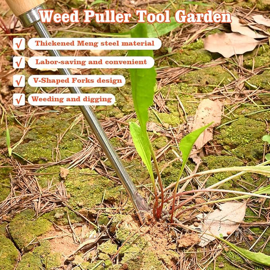 Wooden Handle Dandelion Weeder Tool - Polished Stainless Steel Dual - Forked Head Dandelion Weeder Puller Tool for Planting, Weeding, Flower & Vegetable Care with Nylon Nitrile Coated Gloves