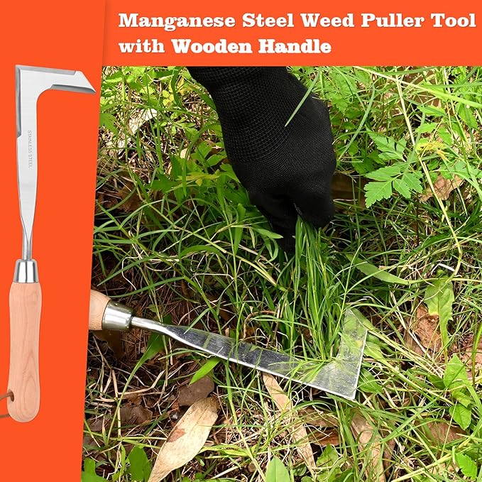 BokingOne 3-Sided Crevice Weeder - 12.6" Stainless Steel Garden Weeding Tool with Beech Handle, L-Shaped Crevice Weeder Sickle for Garden Lawn, Yard Patio Terrace, Paving Gaps