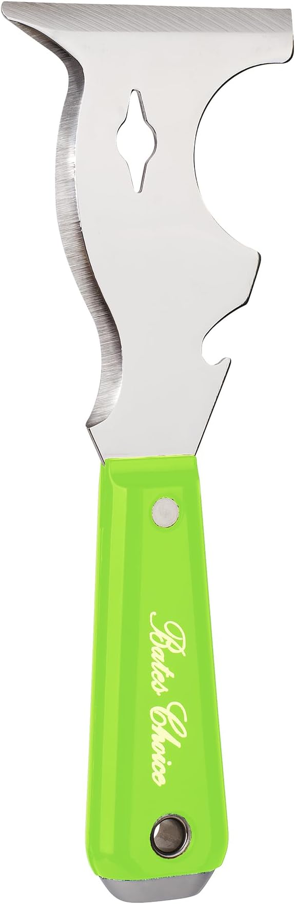 Bates- Paint Scraper, 10 in 1 Painters Tool, Green Handle Paint Scrapers for Wood, Painters Tool, Painters Knife, Paint Scraper for Painting, Putty Knife, Metal Scraper, Spackle Knife, Putty Scraper