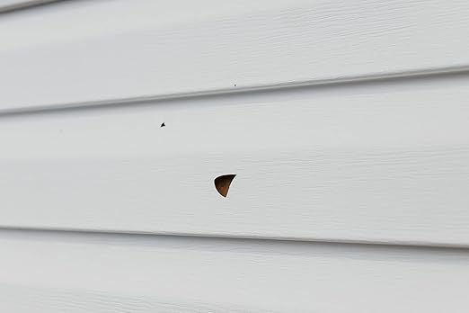 Mendyl Vinyl and Stucco Siding Repair Kit - Cover Any Cracks Holes or Blemishes - White Durable Self-Adhesive Paintable Vinyl Siding Patch Cut to Fit and Cover Any Cracks - 2 Patches (2)