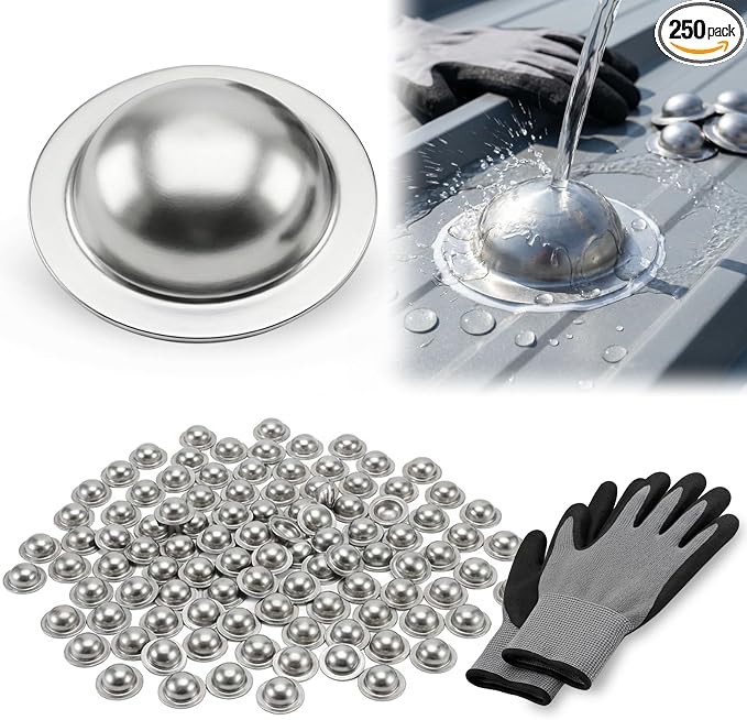 Stainless Steel Roofing Screw Caps for Roof Leak Repair, Directly Cover Existing Screw Heads, for Outdoor Roof Siding Garages Patios, 250 Pcs