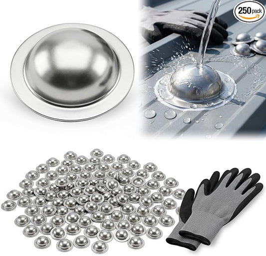 Stainless Steel Roofing Screw Caps for Roof Leak Repair, Directly Cover Existing Screw Heads, for Outdoor Roof Siding Garages Patios, 250 Pcs