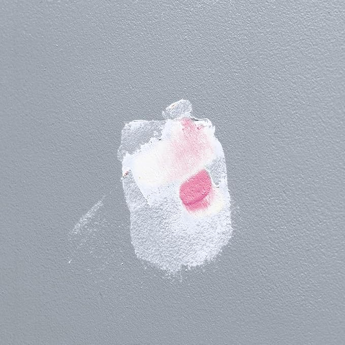 DAP DryDex Dry Time Indicator Spackling, Pink/White, 16 Oz (7079812348)