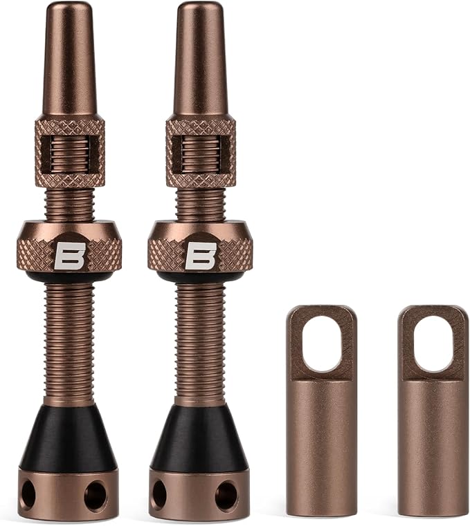 BWSHLF Tubeless Presta Valve Stem 40/44/55/60/65/70/80/100 mm, Super Light Aluminum, Universal MTB/ROAD BIKE, Black/Red/Blue/Gold, 2 Pack