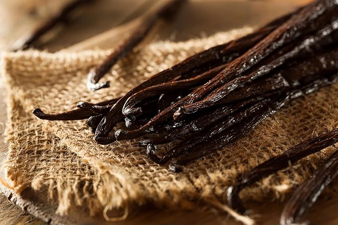 Ladybug Soap Company Luxury All Natural | Handmade Solid Perfume | Phthalate-Free | Handmade in USA | Eco-Friendly | Pocket Size 1/4 OZ (Black Vanilla Cocoa Patchouli)