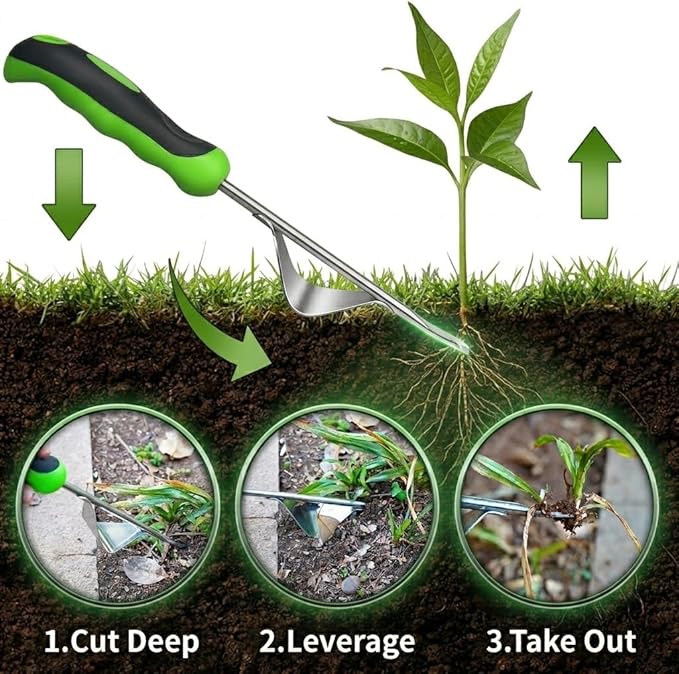 2-Piece Weeding Tool Set, Manual Weed Puller Tool, Crack Weeder Crevice Weeding Tool Stainless Steel, Paving Brick Moss Dandelion Removal, Weed Remover Tool for Garden Patio