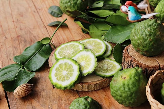 Ladybug Soap Company Luxury All Natural | Handmade Solid Perfume | Phthalate-Free | Handmade in USA | Eco-Friendly | Pocket Size 1/4 OZ (Velvet Sandalwood & Labdanum)