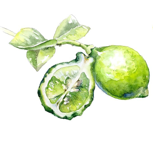 Ladybug Soap Company Luxury All Natural | Handmade Solid Perfume | Phthalate-Free | Handmade in USA | Eco-Friendly | Pocket Size 1/4 OZ (Amber & Midnight Musk)