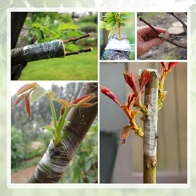 Oligei Grafting Tape 3P, Stretchable Self Adhesive Tree Grafting Tape, Tree Repair Tape for Fruit Trees, Plants, Broken Stem, Floral (Green and White)