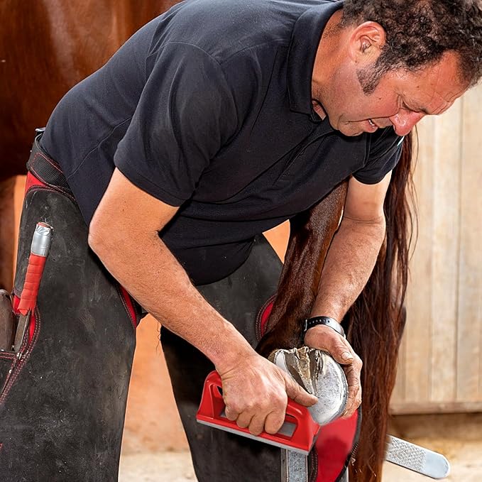 Harhana Goat Hoof Rasp File, Farrier Rasp for Small Hooves, Goat and Small Animals