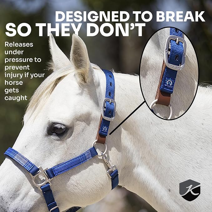 Leather Breakaway Strap for Horse Halter by Kensington Repair Kit for Damaged Breakaway Halters Leather Breaks If Halter Catches an Immobile Object for Horse Safety