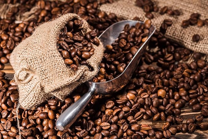 Ladybug Soap Company Luxury All Natural | Handmade Solid Perfume | Phthalate-Free | Handmade in USA | Eco-Friendly | Pocket Size 1/4 OZ (Black Vanilla Cocoa Patchouli)