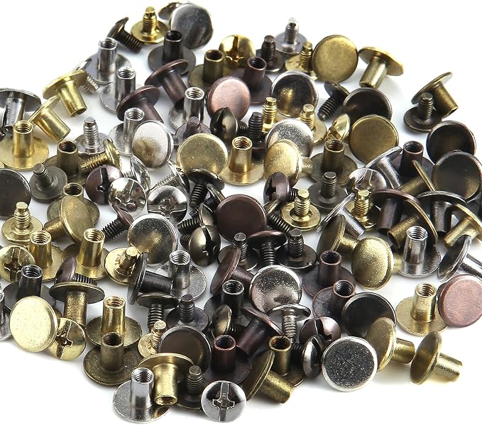 YORANYO 125 Sets Mixed Colors Round Flat Head Chicago Screws for Leather Crafting - Rivet Kit for Clothing, Shoes, Belts, Bags - 25/64 Inch Button Studs