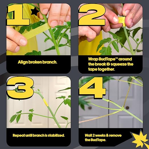 BudTape for Grafting and Branch Repair, 90ft (27m) | Self-Adhering, Flexible, Water-Resistant Tape For Grafting | Use For Broken Stems And Weak Branch Repair