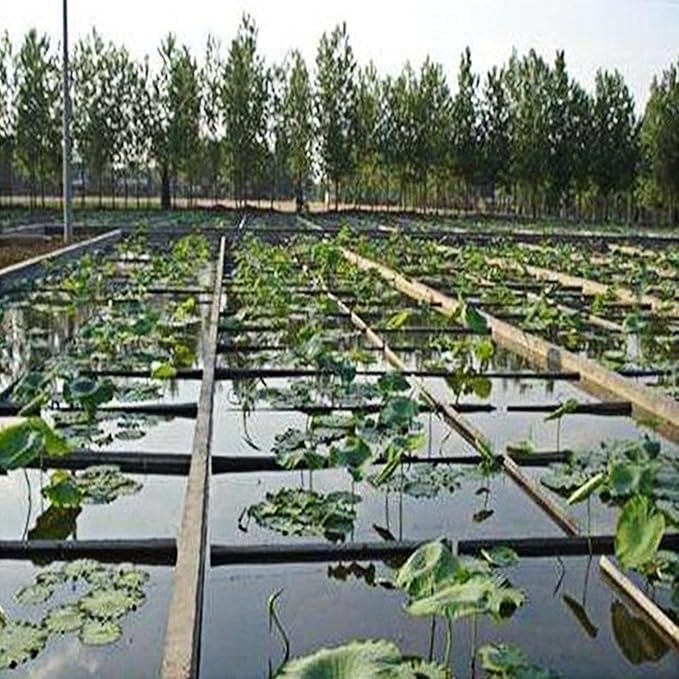 Adroiteet 15 x 20 FT Pond Liner, 20 Mil Fish Pond HDPE Liner, Pond Liners for Outdoor Ponds, Koi Ponds, Garden Fountain, Waterfall