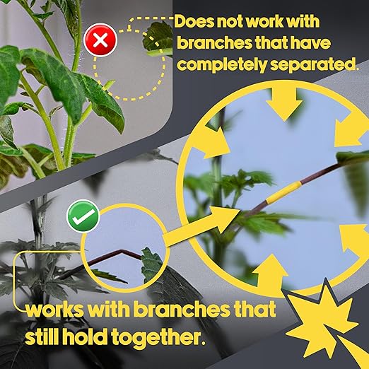 BudTape for Grafting and Branch Repair, 90ft (27m) | Self-Adhering, Flexible, Water-Resistant Tape For Grafting | Use For Broken Stems And Weak Branch Repair