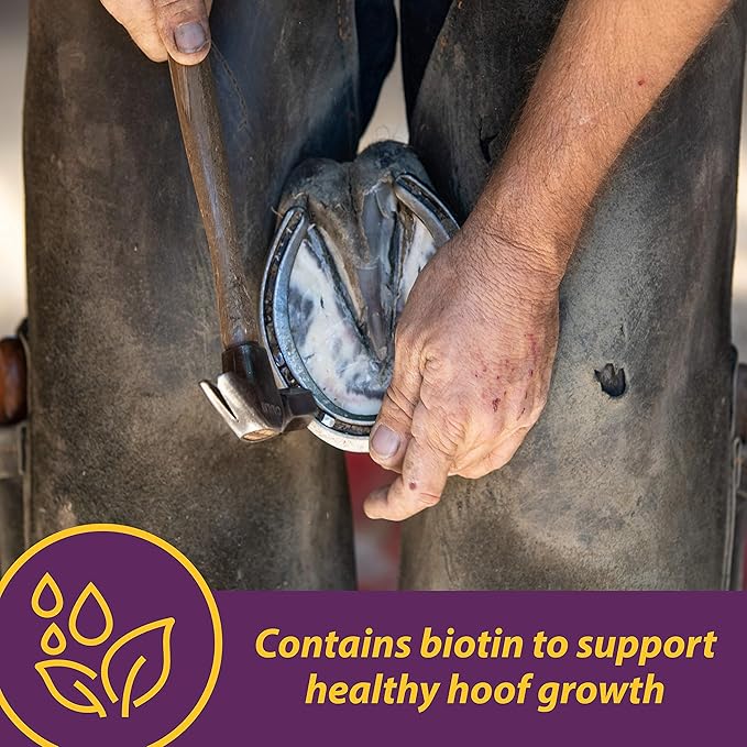 Horse Health Vita Biotin Crumbles Horse Hoof Supplement, Biotin Supplement Supports Healthy Hoof Growth, Strong Walls, Prevents Cracks & Chipping, 3 lbs, 48-Day Supply