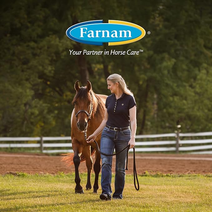 Farnam Leather New Easy-Polishing Glycerine Saddle Soap and Leather Saddle Cleaner, Protects and Preserves Leather, Cleans, Conditions and Polishes, 32 Oz. (Pack of 2)