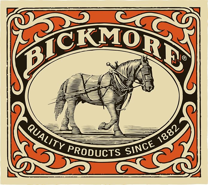 Bickmore Leather Shoe & Boot Travel Care Kit- Repairs, Polishes and Shines Leather Goods On The Run